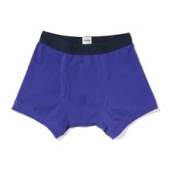 Druthers Organic Cotton Boxer Briefs - Royal Blue Underwear
